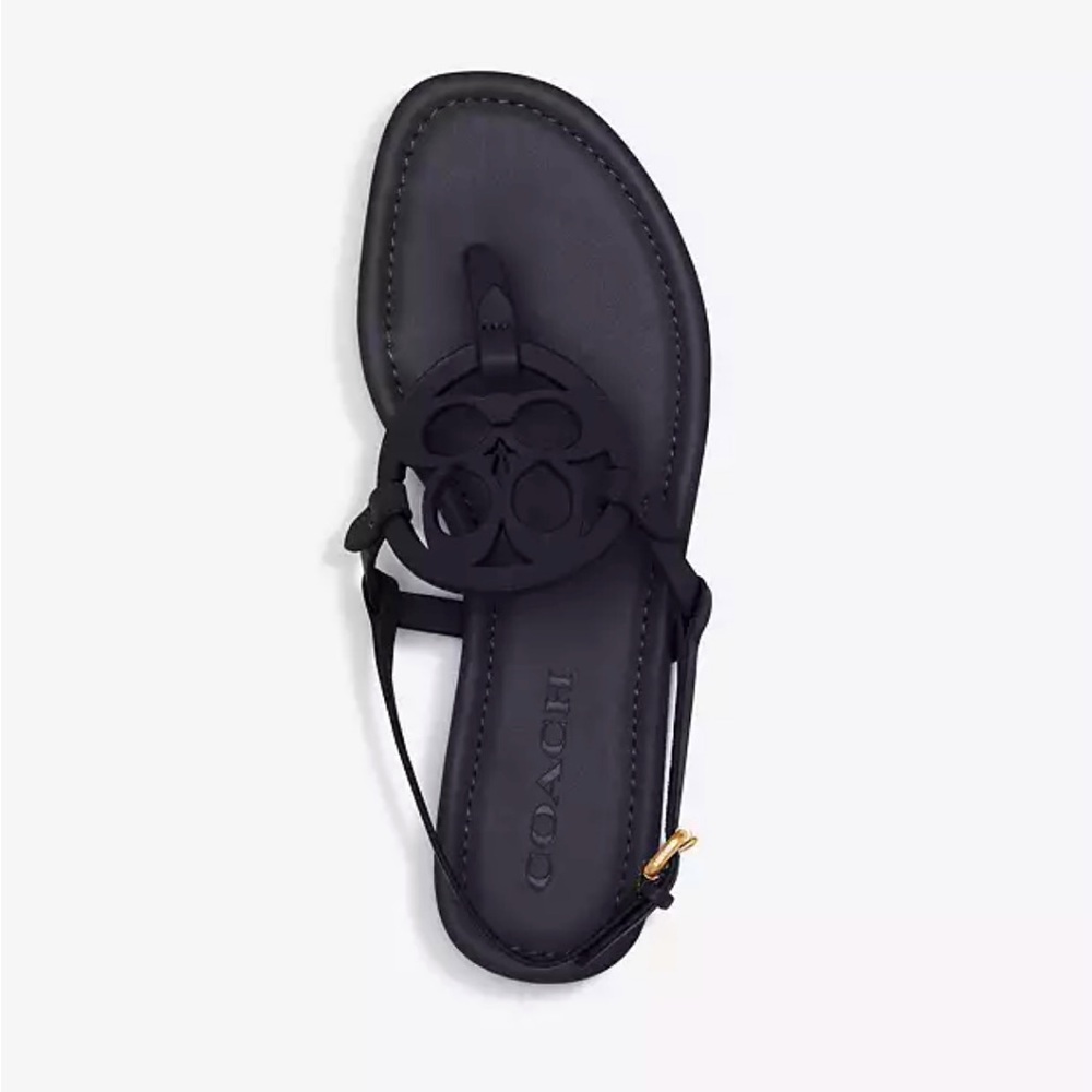 Coach Black Thong Sandal - Size 11 EUC